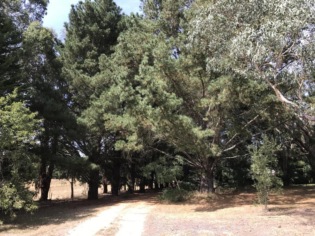 Helen'S Homestead เอนฟิลด์ ภายนอก รูปภาพ