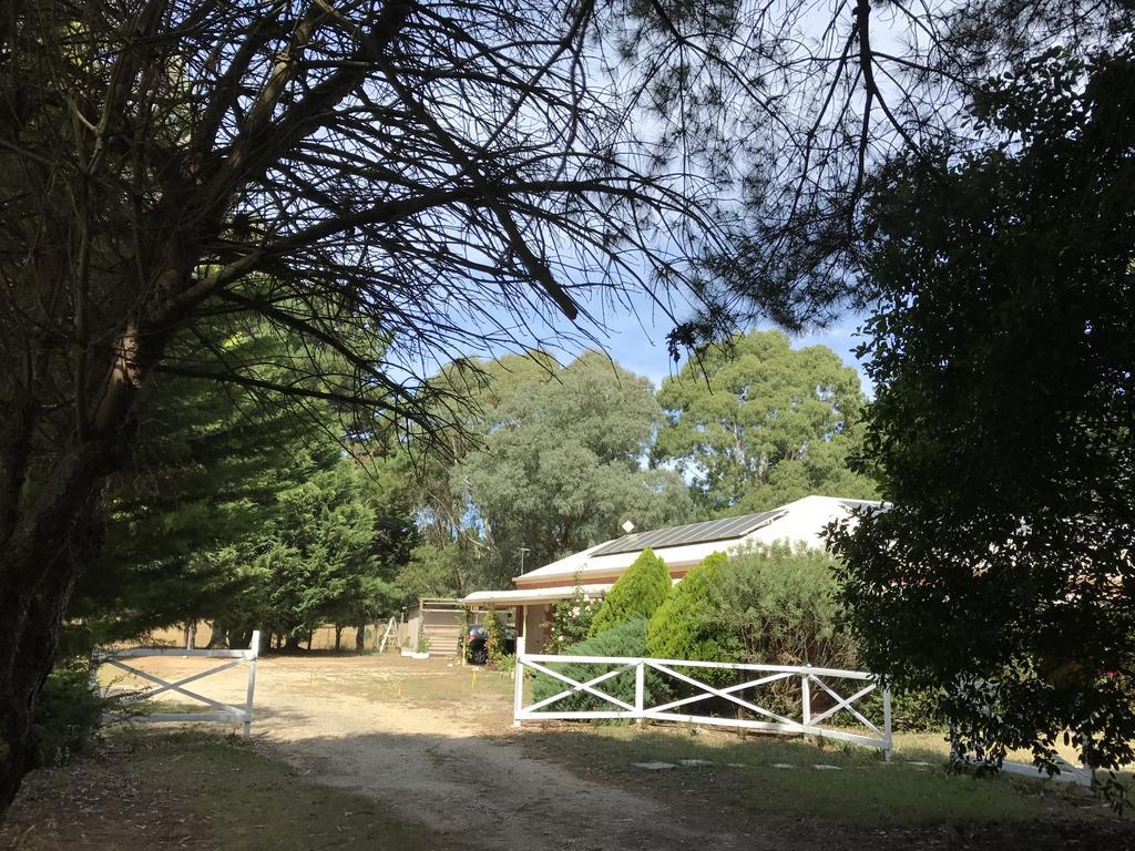 Helen'S Homestead เอนฟิลด์ ภายนอก รูปภาพ