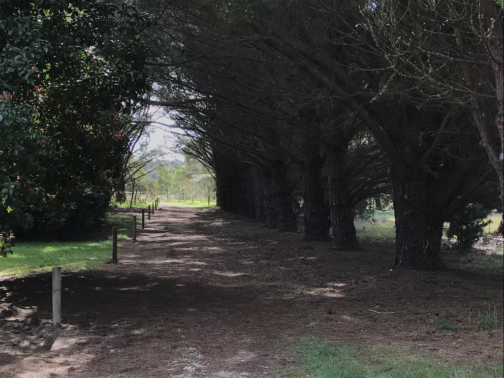 Helen'S Homestead เอนฟิลด์ ภายนอก รูปภาพ